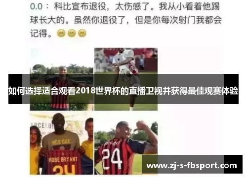 如何选择适合观看2018世界杯的直播卫视并获得最佳观赛体验