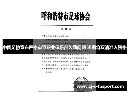 中国足协宣布严格审查职业俱乐部欠薪问题 逾期将取消准入资格